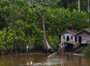 projeto-leva-tratamento-gratuito-a-doencas-negligenciadas-no-amazonas